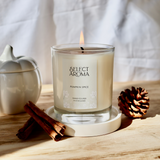 Pumpkin Spice Luxury Coconut & Soy Wax Candle