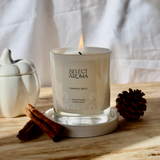 Pumpkin Spice Luxury Coconut & Soy Wax Candle